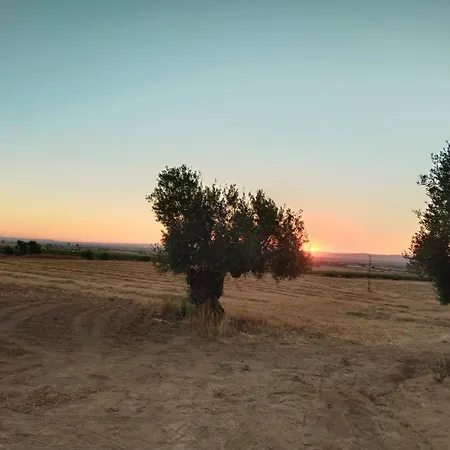 펜션 Cerro Campon 카르모나